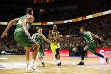 nedovic01.jpg