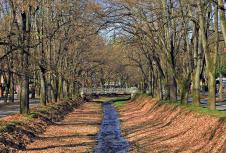 1006-shutter.jpg