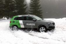 skoda-2.jpg