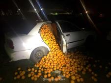 reuters-oranges.jpg