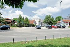 1209-zorana-jevtic.jpg