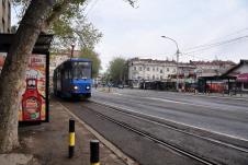 tramvaj-nedojsa-mandic.jpg