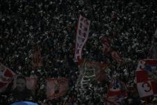 delije-ap01.jpg