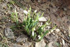 dsc03371-copy.jpg