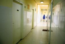 1201-sporcic-13.jpg