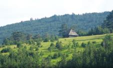 zlatibor-srbija-u-kadru.jpg