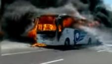 turska-autobus.jpg