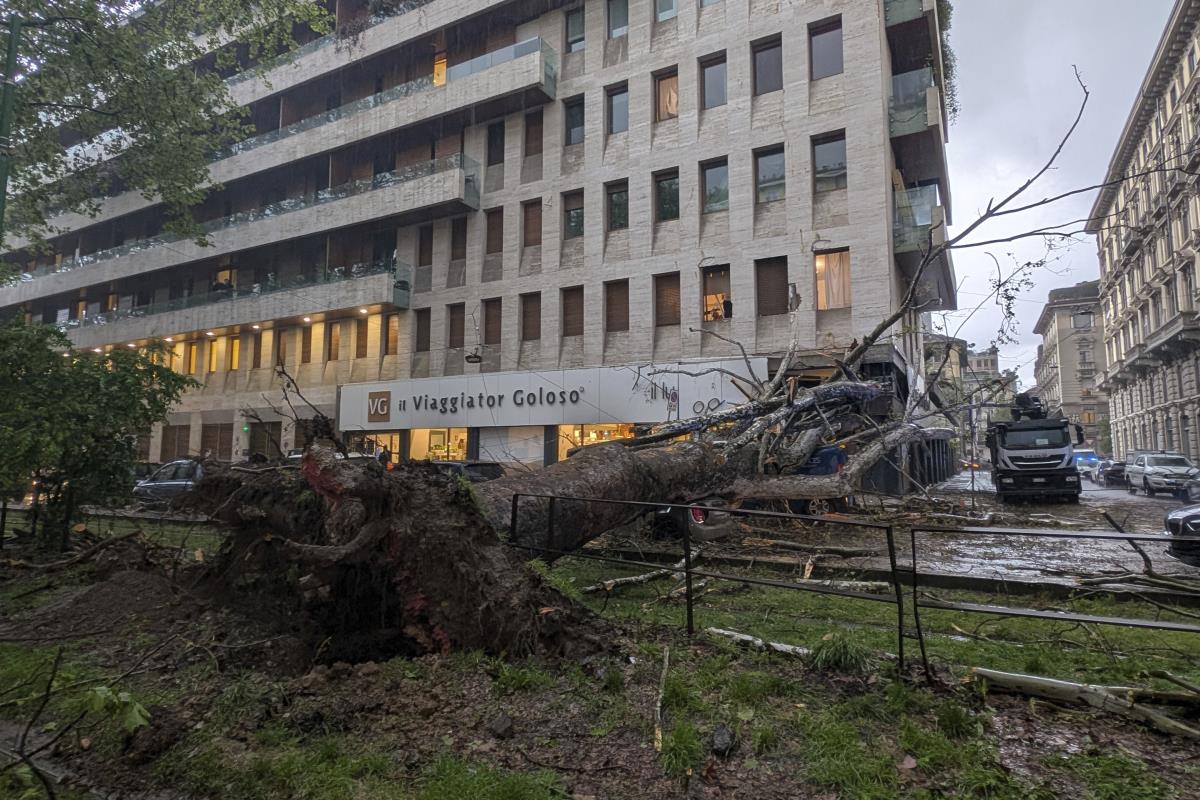 italy01 AP Claudio Furlan.jpg