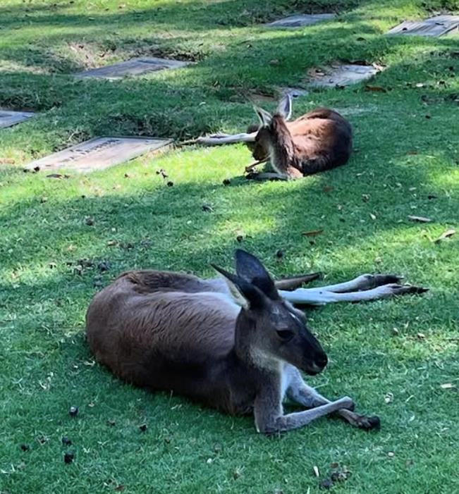 Screenshot 2025-04-20 145819.png