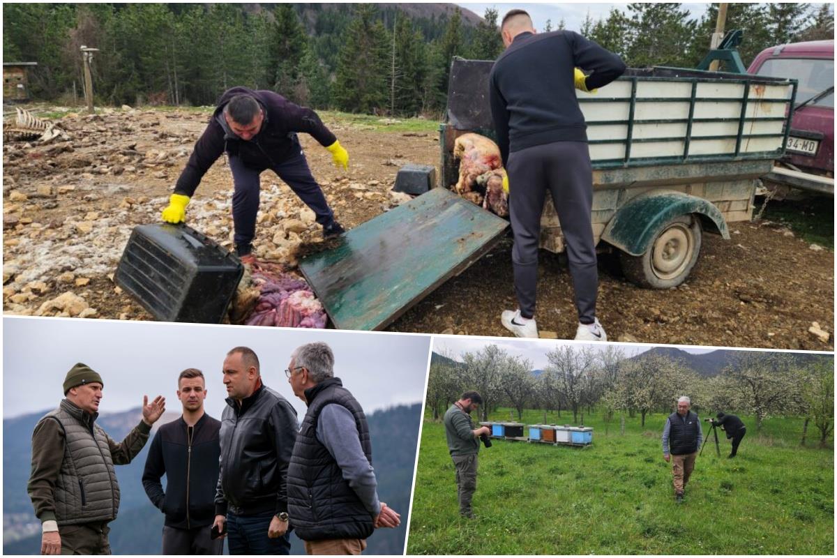 Hranilište Kašan.jpg