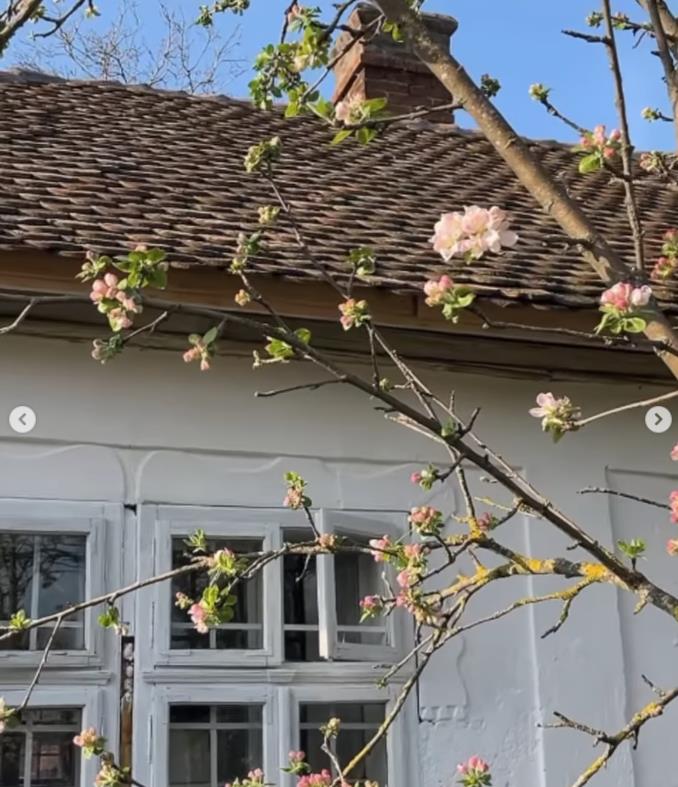 Kuća Naledi i Bojana Repaje u Malom Crniću