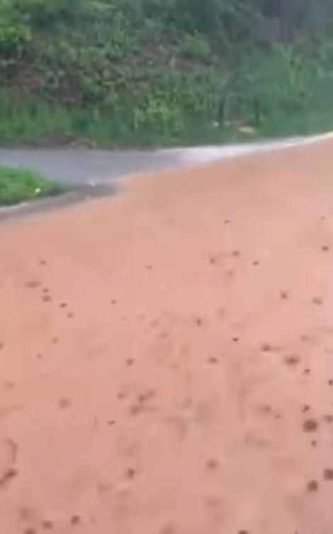 Screenshot 2025-04-24 181006.png