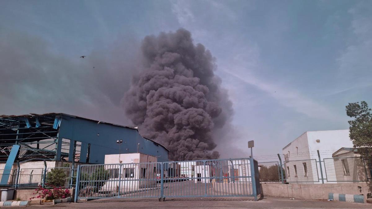 101 AP Meysam Mirzadeh.jpg