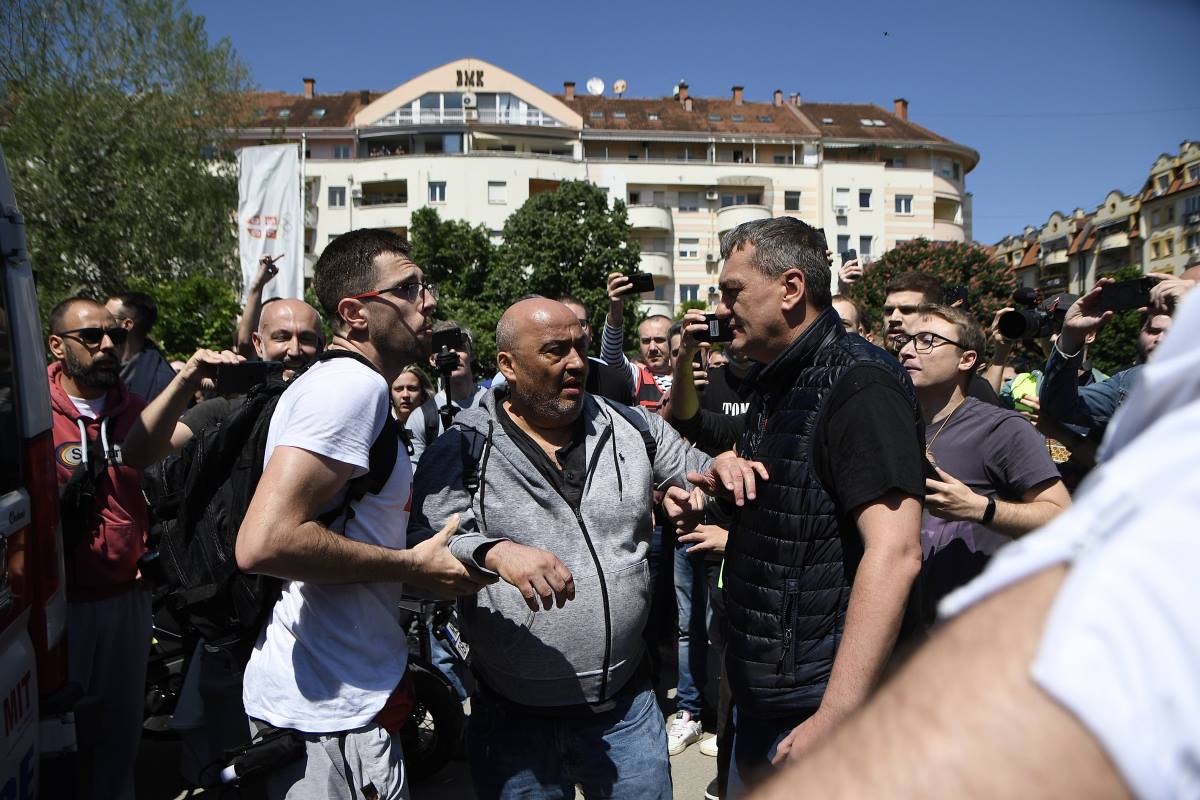 101 Beta Dragan Gojic.jpg