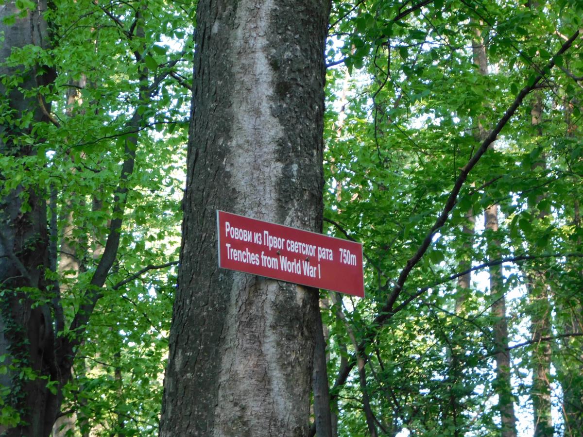 LOZNICA -Rovovi posle više od veka.JPG