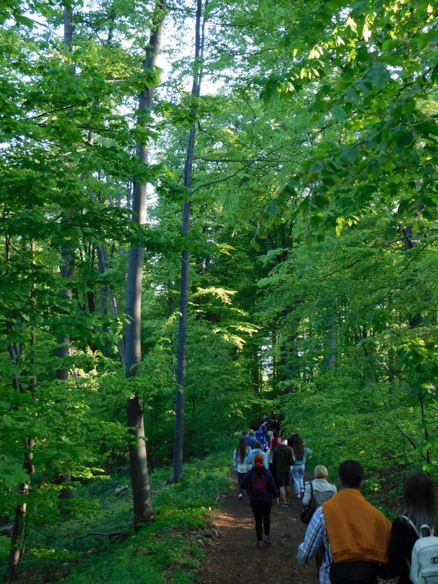 LOZNICA - Po Gučevu.JPG