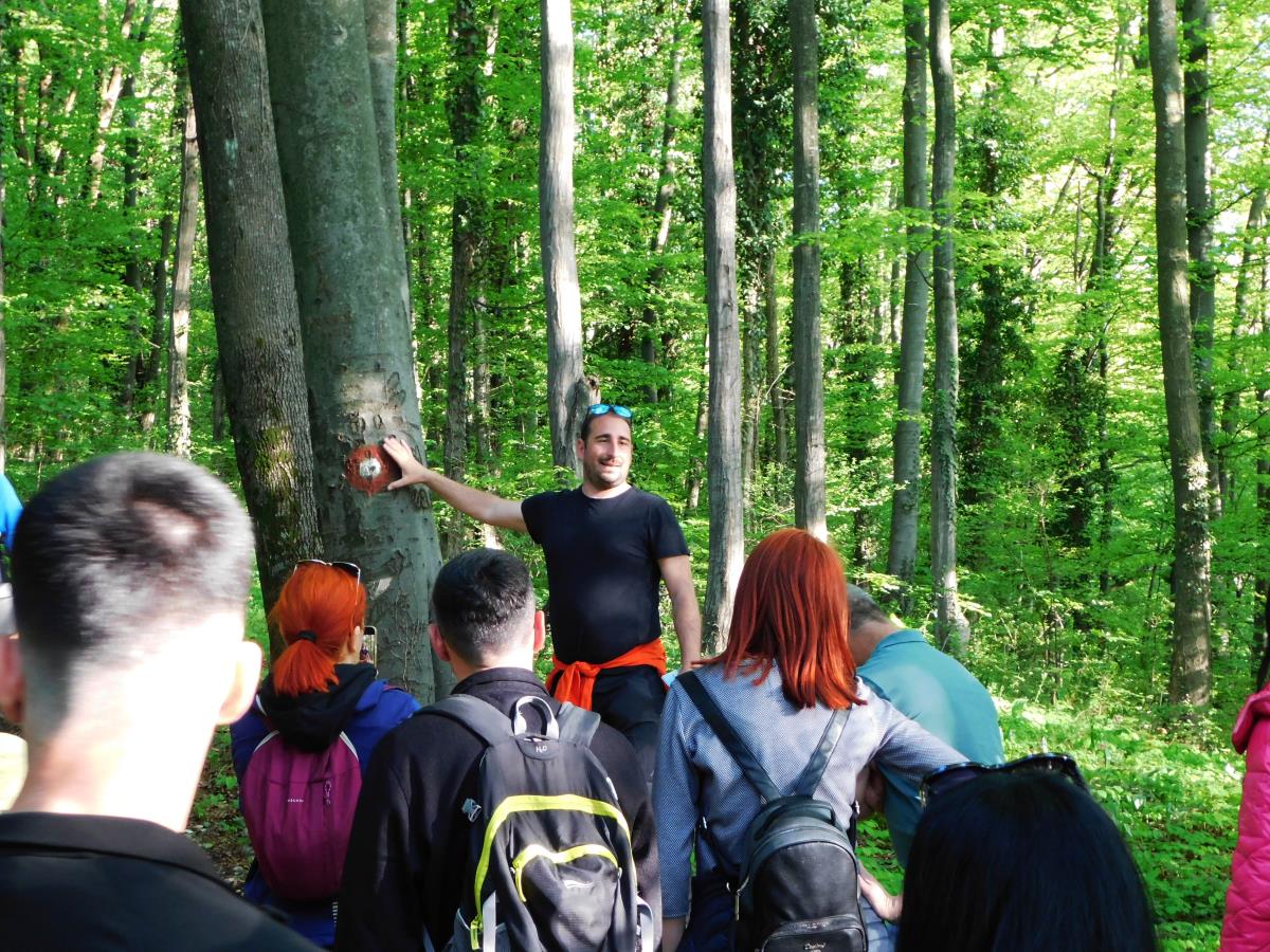 LOZNICA - Vodič.JPG