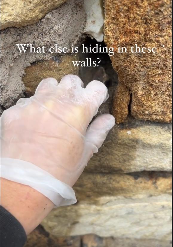 Screenshot 2025-04-29 125841.png