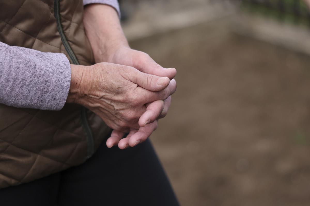 petrovici gracanica_16.jpg