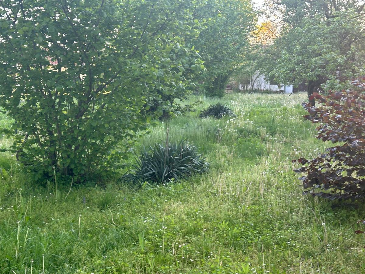 WhatsApp Image 2025-04-30 at 2.56.35 PM (1).jpeg