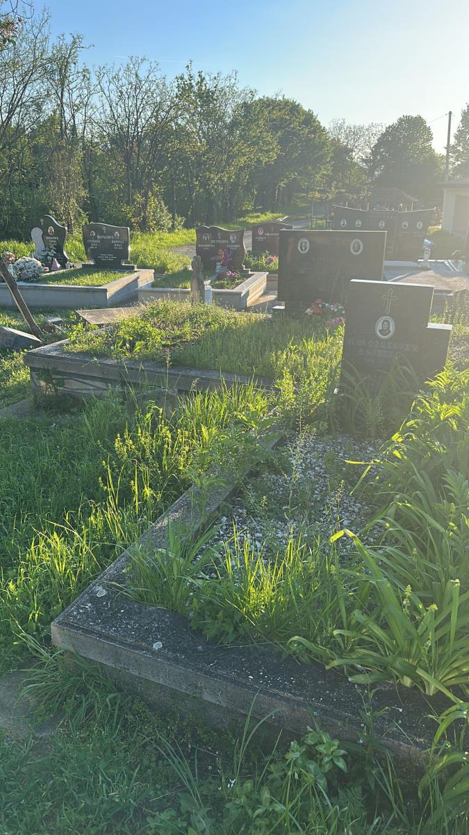 WhatsApp Image 2025-04-30 at 2.56.34 PM (2).jpeg