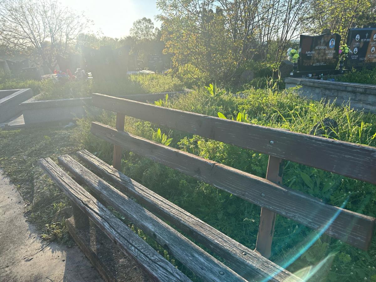 WhatsApp Image 2025-04-30 at 2.56.31 PM (3).jpeg