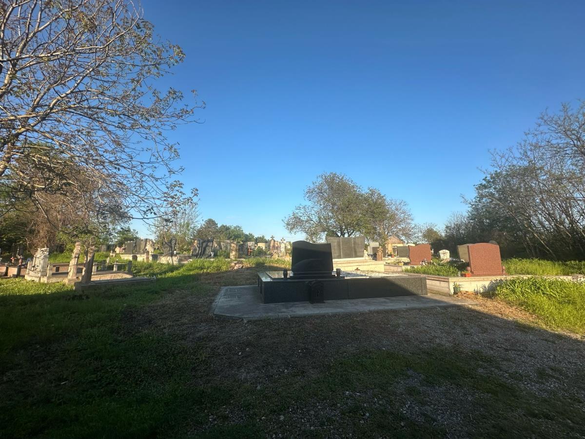 WhatsApp Image 2025-04-30 at 2.56.30 PM.jpeg