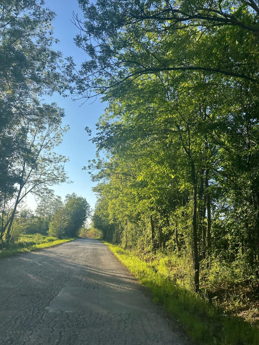 WhatsApp Image 2025-04-30 at 2.56.29 PM.jpeg