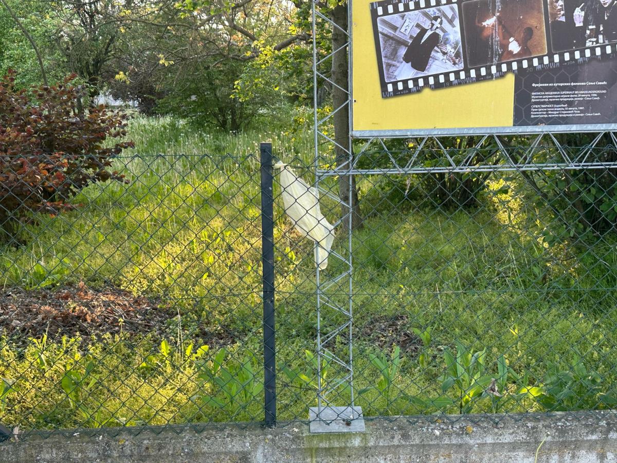 WhatsApp Image 2025-04-30 at 2.56.57 PM (3).jpeg