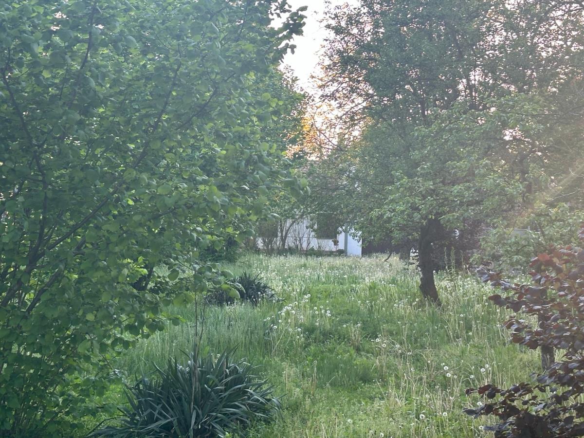 WhatsApp Image 2025-04-30 at 2.56.57 PM.jpeg