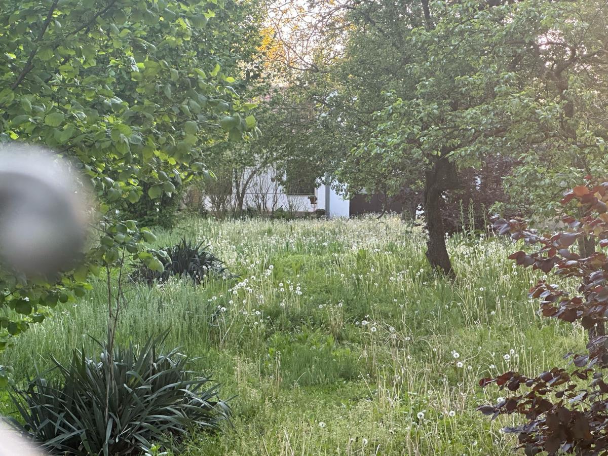 WhatsApp Image 2025-04-30 at 2.56.56 PM (2).jpeg