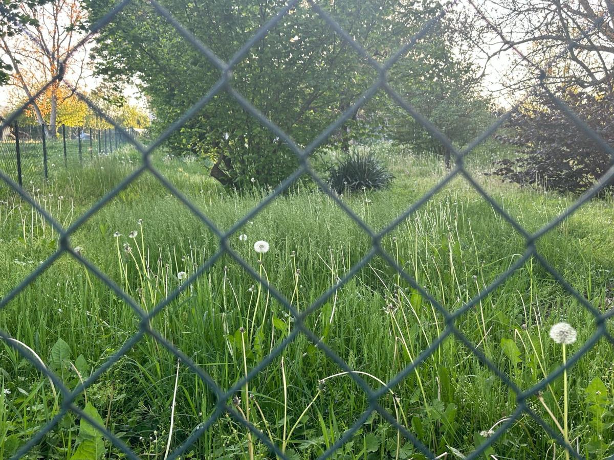 WhatsApp Image 2025-04-30 at 2.56.56 PM (1).jpeg