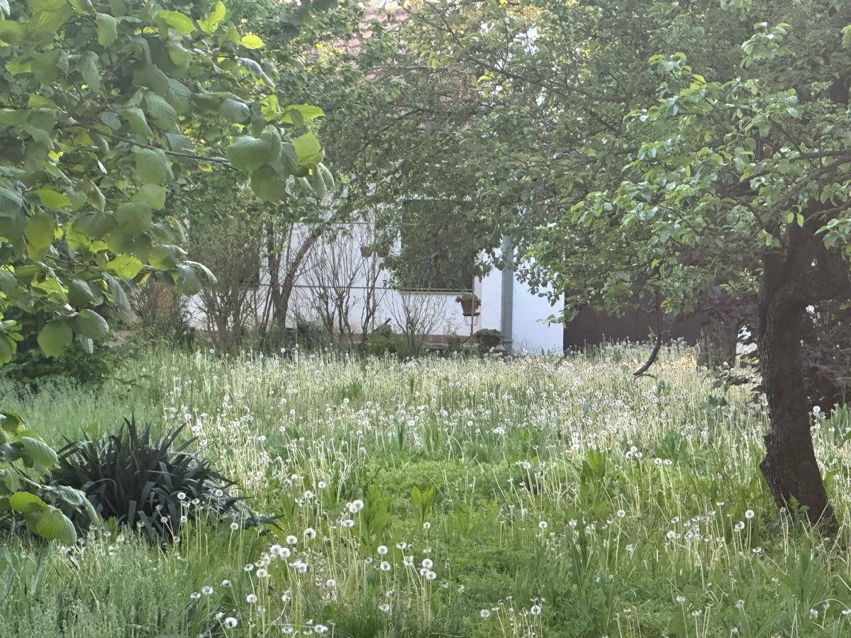 WhatsApp Image 2025-04-30 at 2.56.56 PM.jpeg