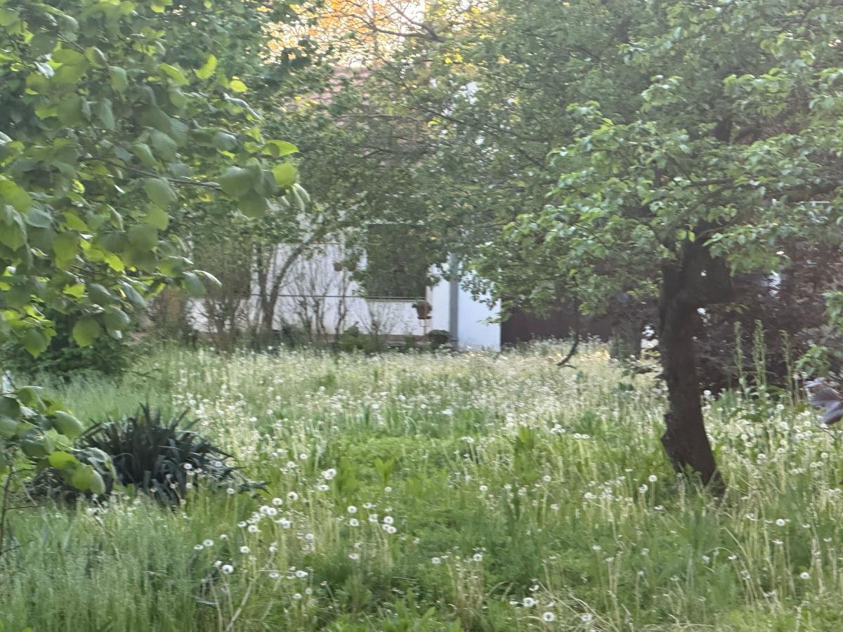 WhatsApp Image 2025-04-30 at 2.56.55 PM (3).jpeg