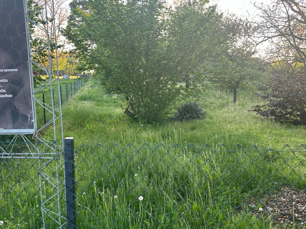 WhatsApp Image 2025-04-30 at 2.56.55 PM (2).jpeg