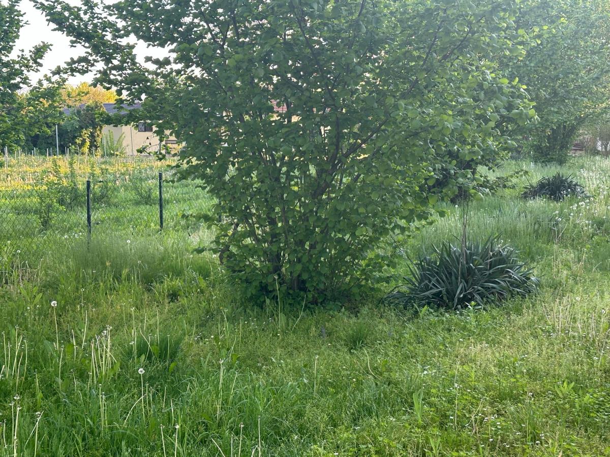 WhatsApp Image 2025-04-30 at 2.56.53 PM.jpeg