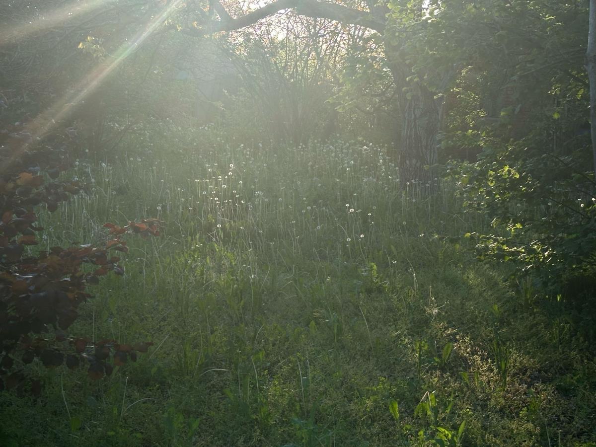 WhatsApp Image 2025-04-30 at 2.56.52 PM.jpeg