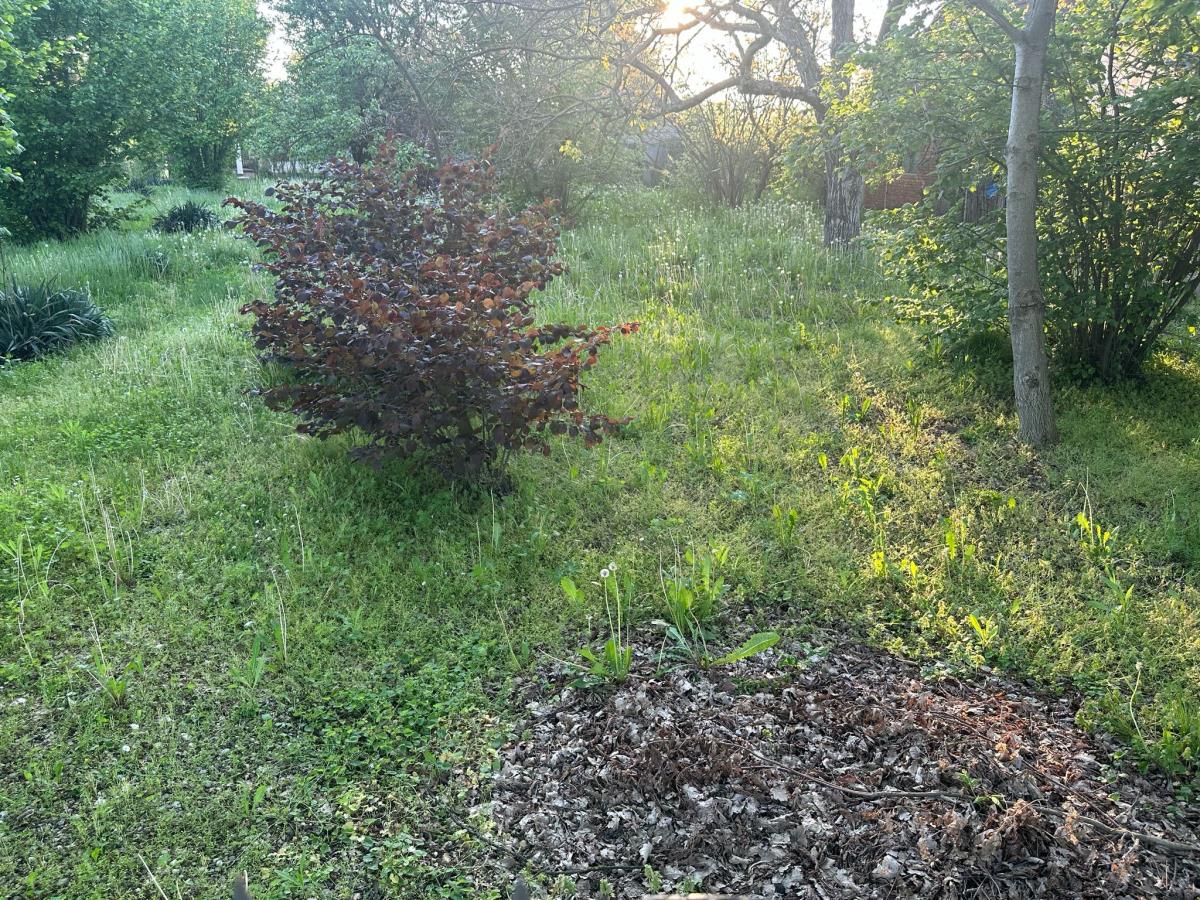 WhatsApp Image 2025-04-30 at 2.56.51 PM.jpeg