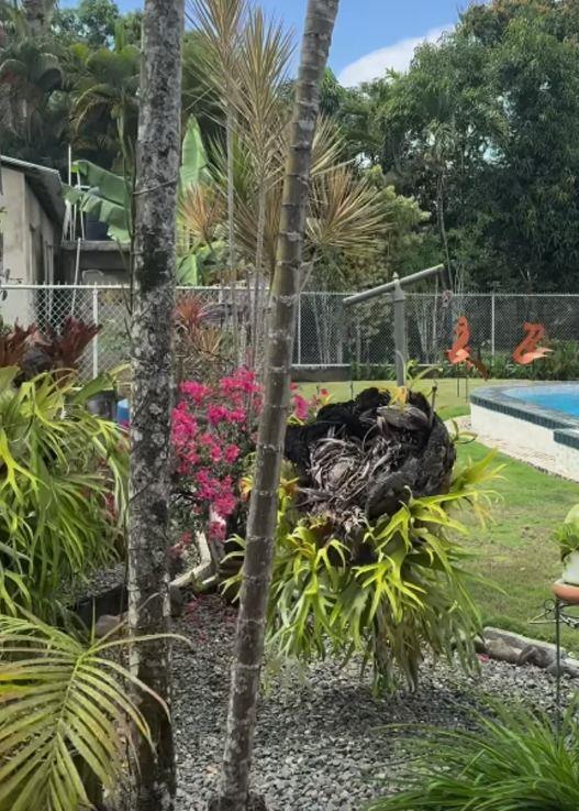 Vlada Vuksanović otkrio deo porodične idile