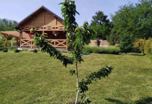 Screenshot 2025-05-01 180727.png