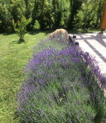 Screenshot 2025-05-01 180710.png