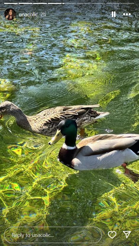 Screenshot 2025-05-01 211358.png