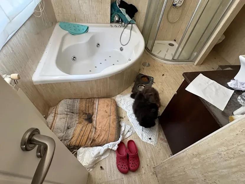 spanija-3-830x0 copy.jpg