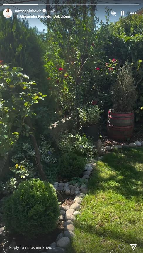 Nataša Ninković 3.png