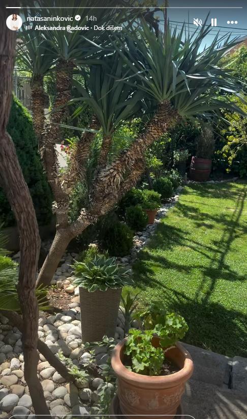 Nataša Ninković 2.png