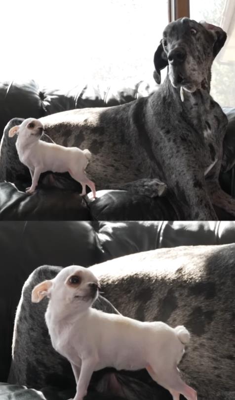 Screenshot 2025-05-02 193402.jpg