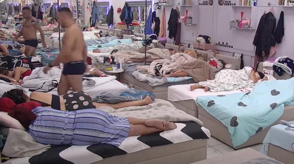 Screenshot 2025-05-02 204600.png