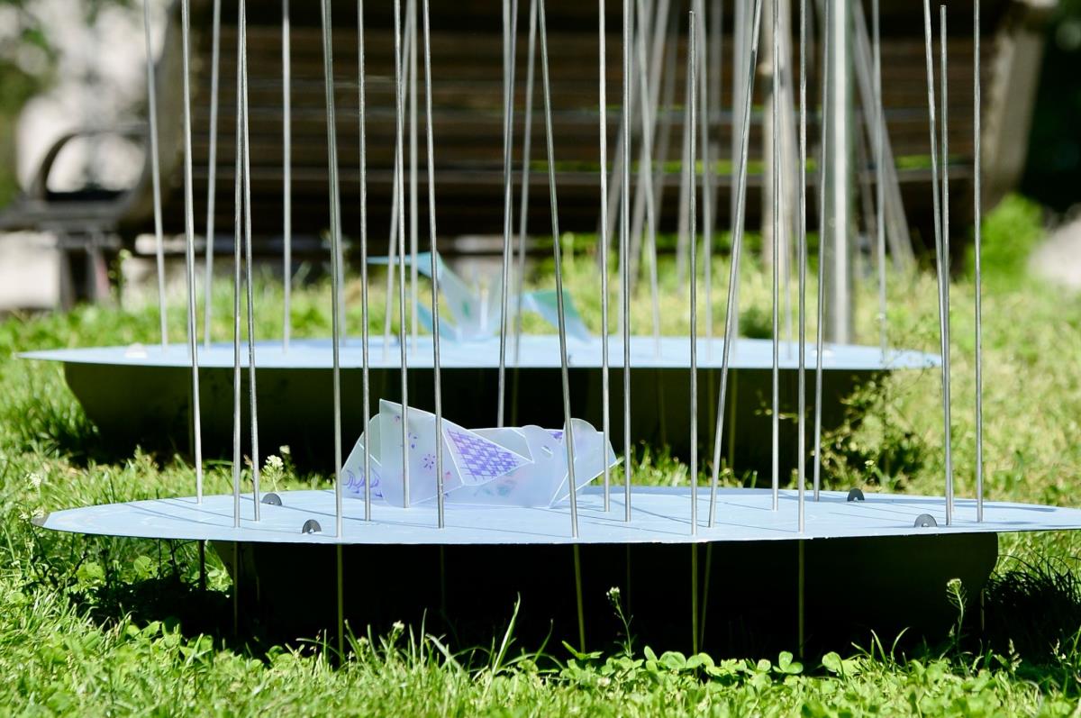 WhatsApp Image 2025-05-03 at 11.23.42 AM (1).jpeg