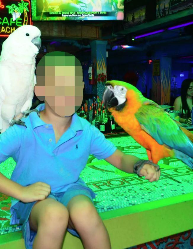 2025-05-03 13_12_54-Sin Lepe Brene napustio Srbiju - Telegraf.rs.jpg