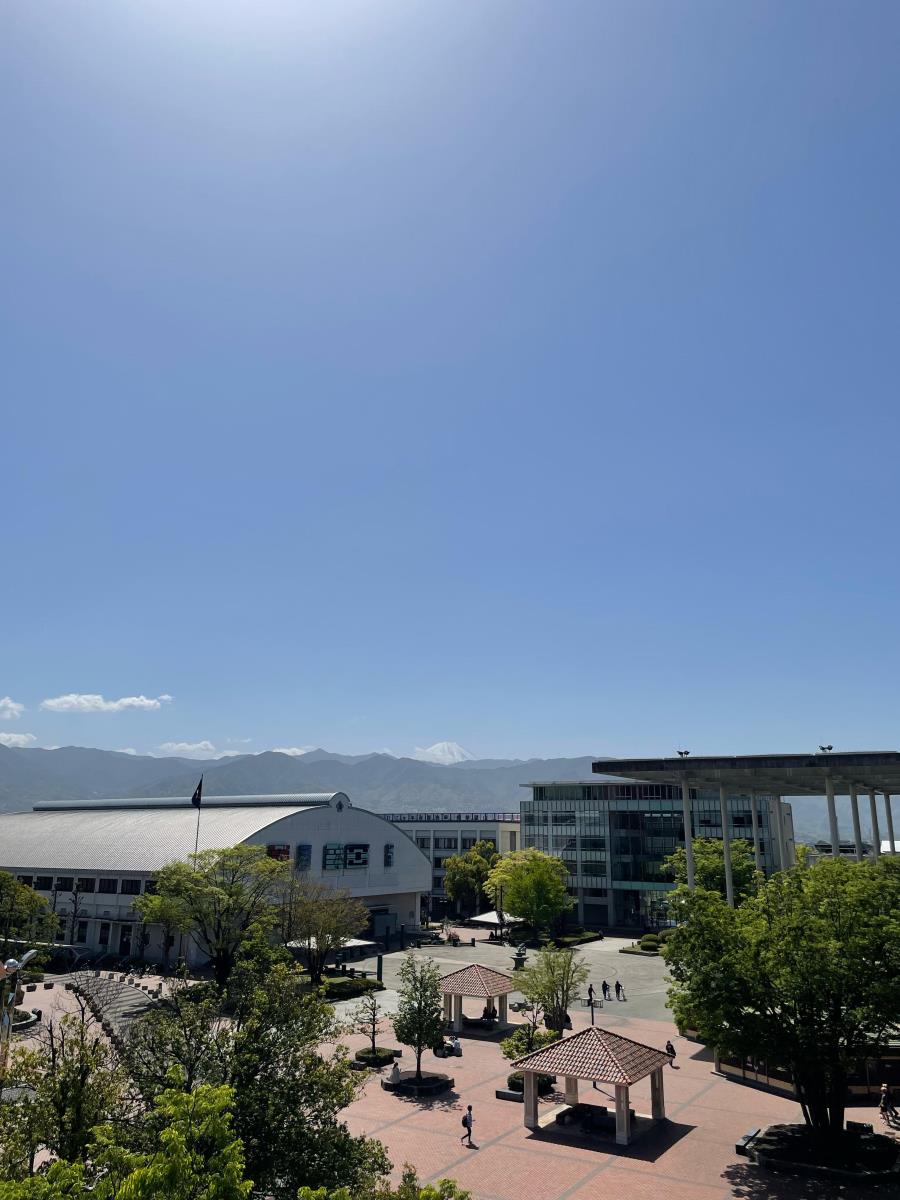 Igor Svetličić preselio se u Japan i igra košarku